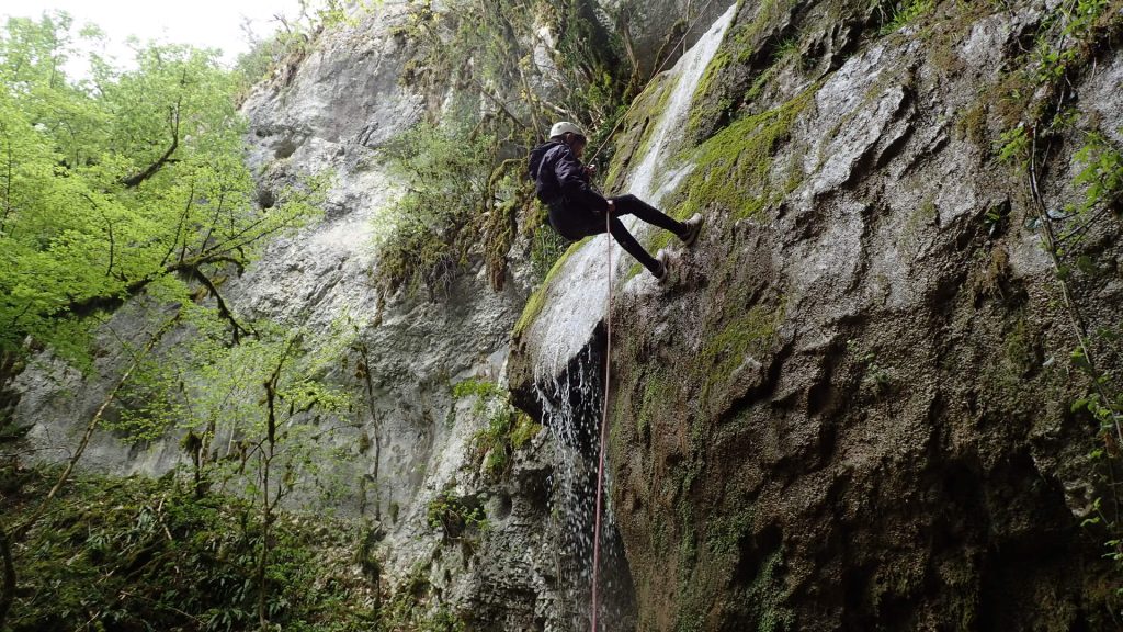 Ecole d'aventure Lézard des Bois