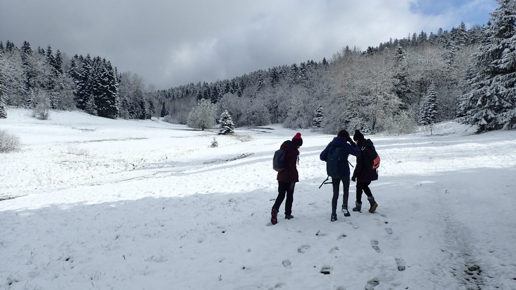 orientation dans la neige