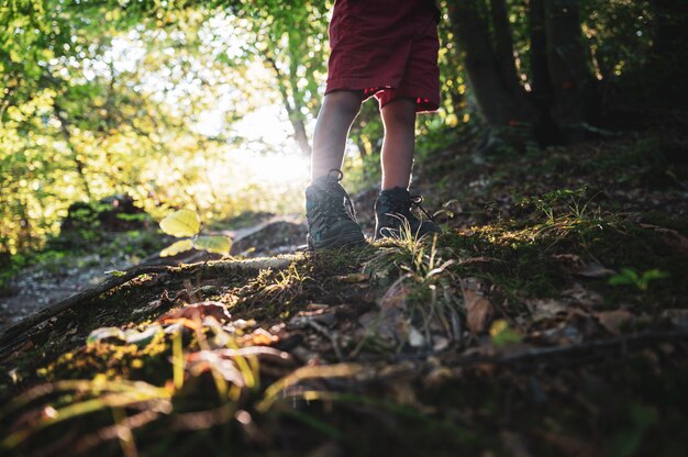 plaisir de la marche en forêt