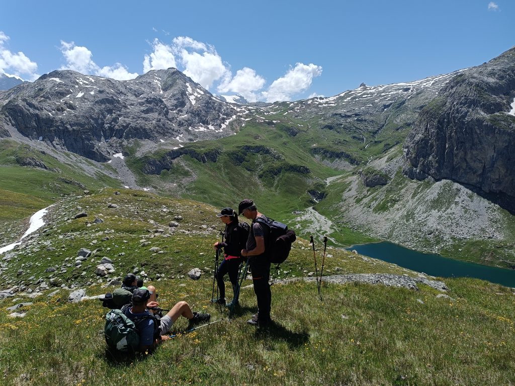 Lézard des Bois - trek en Vanoise