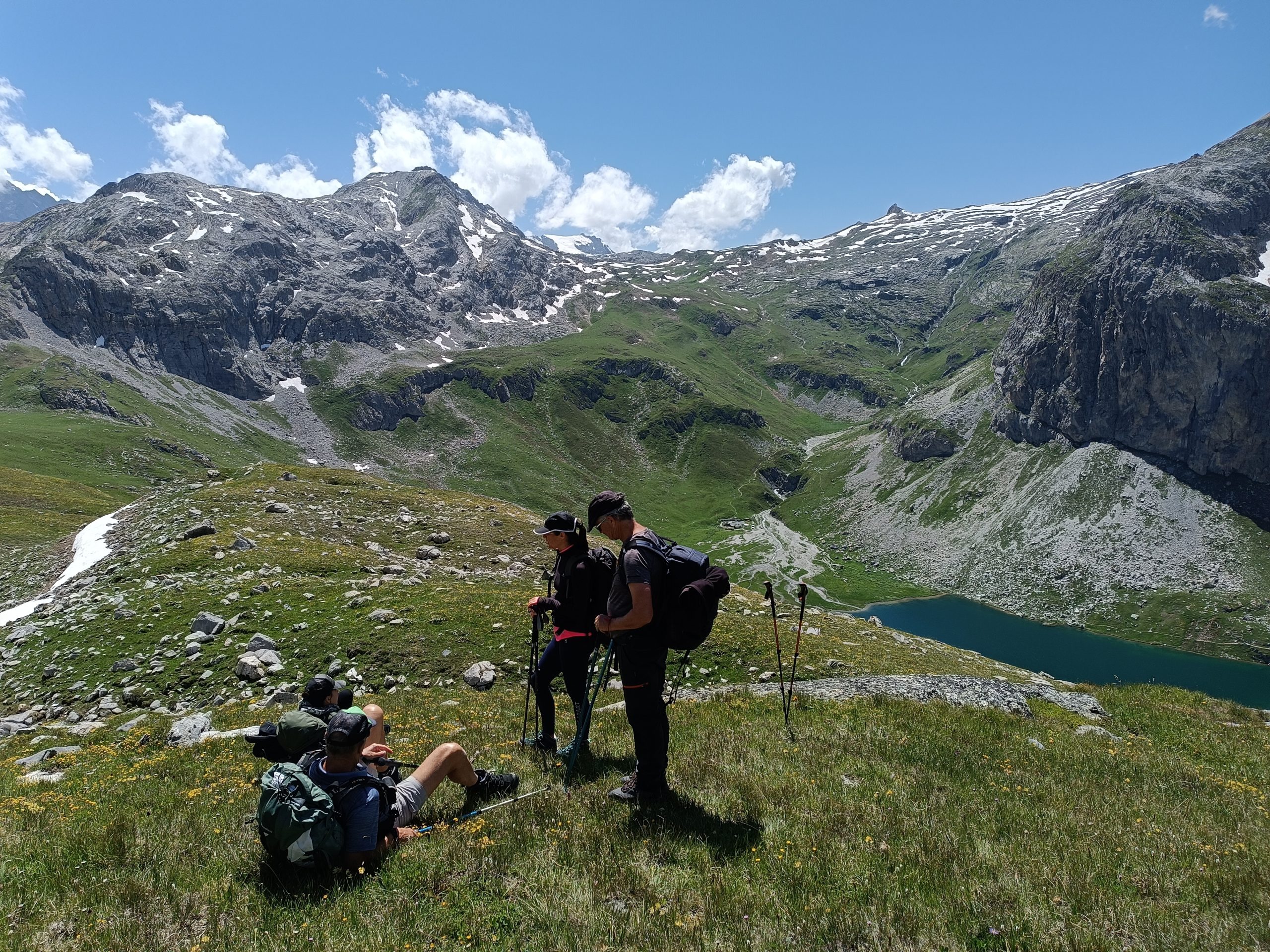 Lézard des Bois - trek en Vanoise